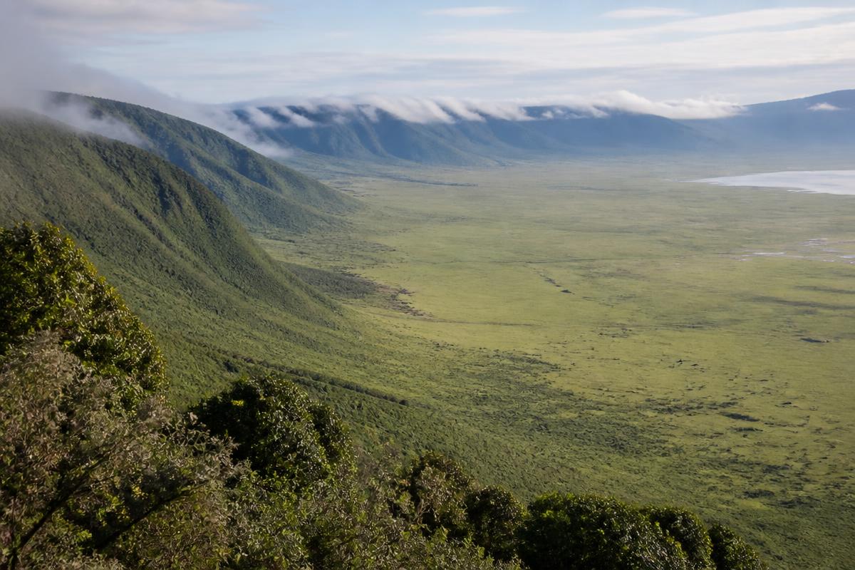 The green floor of the Ngorongoro Crater seen from the rim