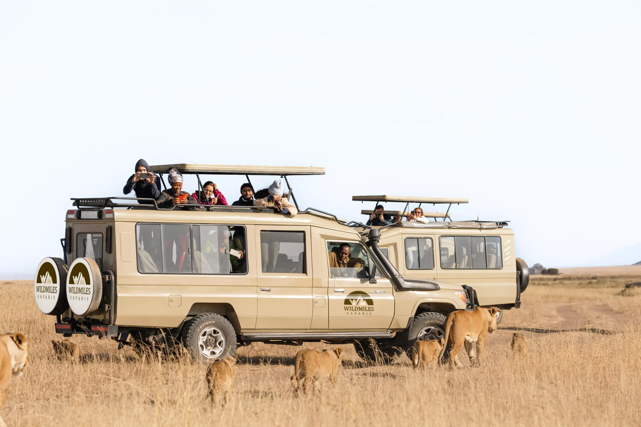 Safari Vehicle