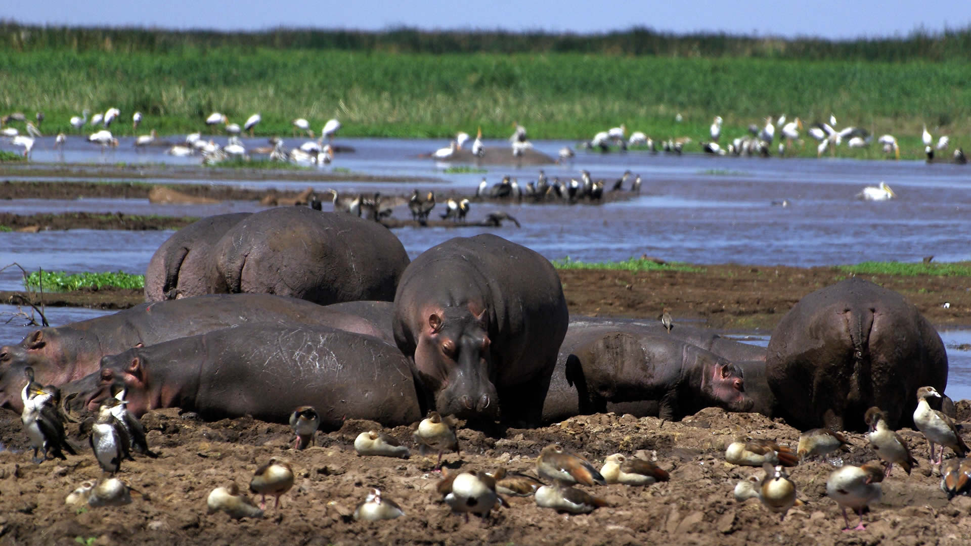 Lake Manyara