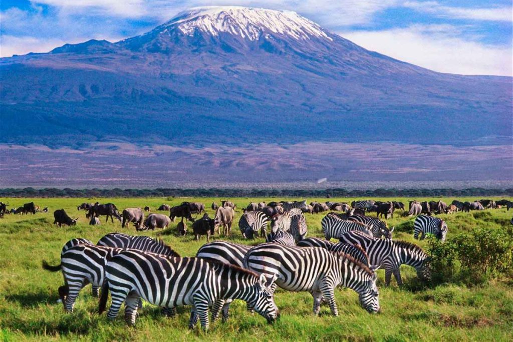 Mount Kilimanjaro